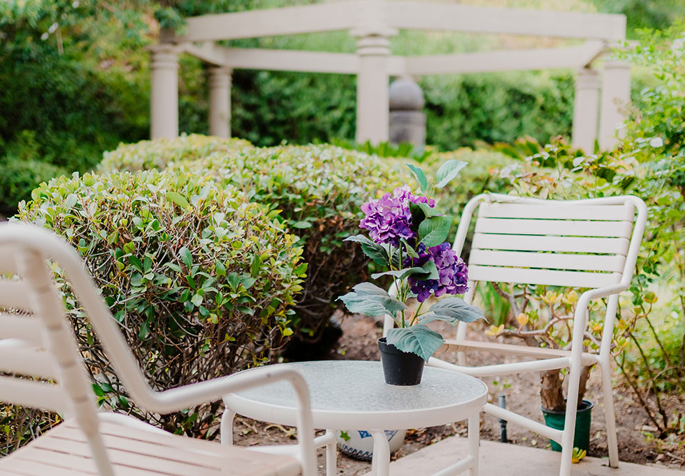 Outdoor patio area with landscaping and gazebo